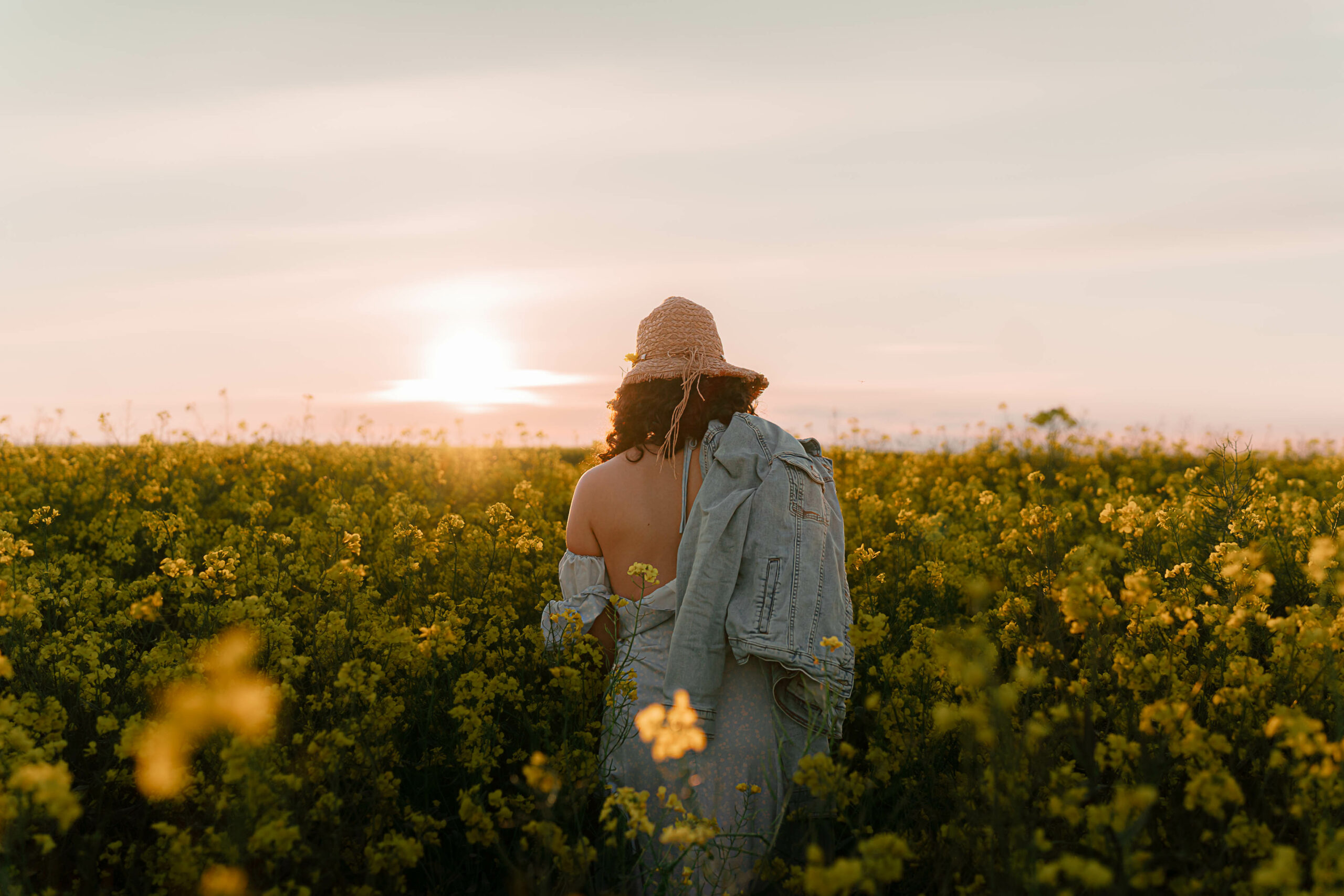 Séance photo au coucher de soleil dans les champs de colza