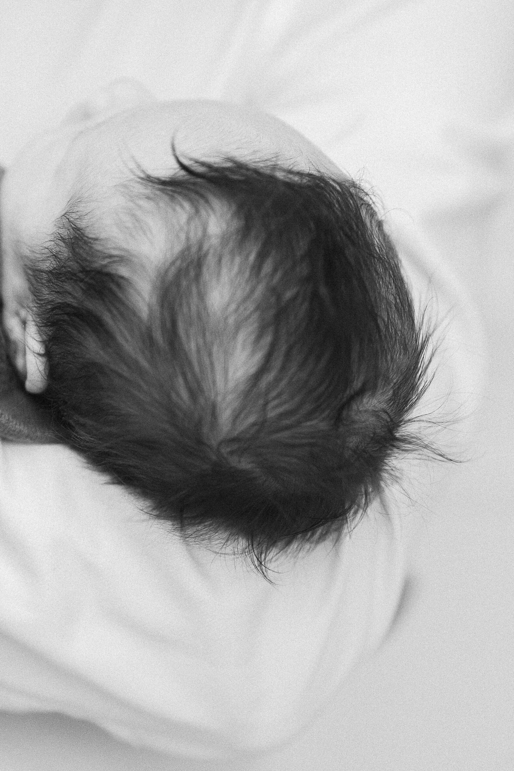 Séance photo nouveau-né – studio à Reims- detail cheveux