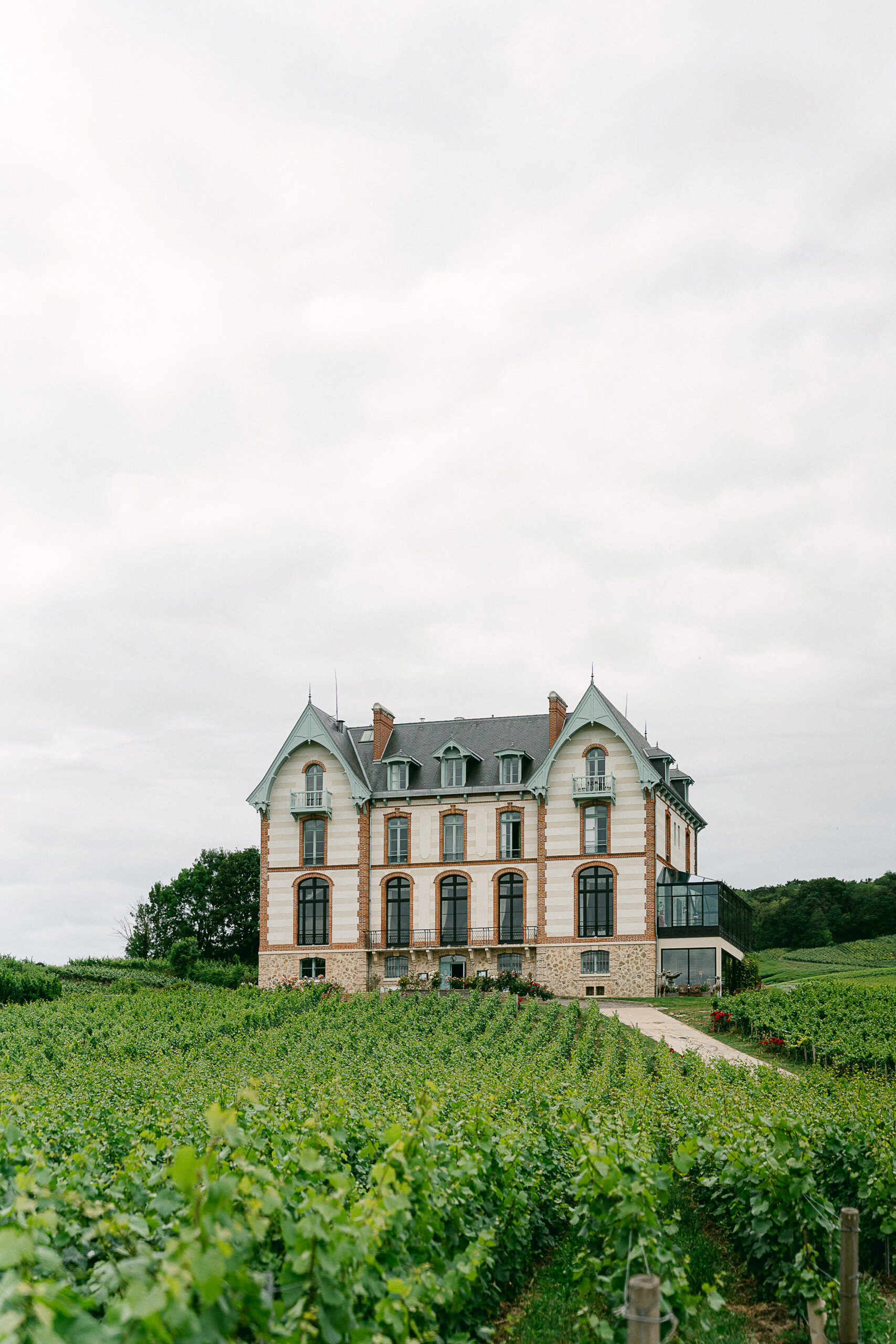 Photographe professionnelle Reims Champagne vignoble